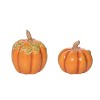Transpac Dolomite 3.25 in. Orange Harvest Pretty Pumpkin Salt and Pepper Shakers Set of 2 - 3 of 4