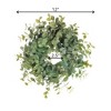 Sullivans Artificial Ecalyptus Accent Wreath 12"H Brown - 2 of 2