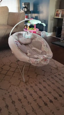 sweet snugamonkey deluxe bouncer