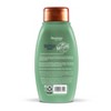 Aveeno Scalp Soothing Fresh Greens Blend Shampoo Clarifying & Volumizing Shampoo for Thin or Fine Hair - 12 fl oz - image 3 of 4