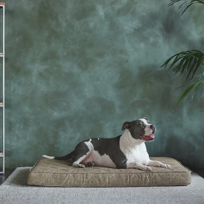 dog food storage container target