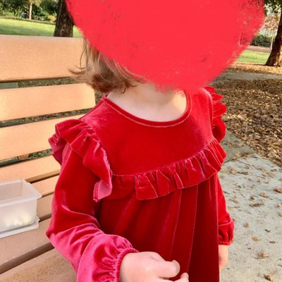 Toddler Girls' A-line Velour Long Sleeve Dress - Cat & Jack™ : Target