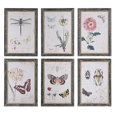 Butterfly & Insect Framed Wall Art Cream/Green/Pink - 3R Studios