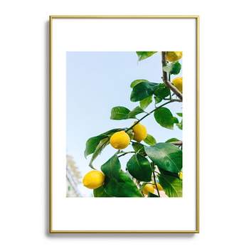 Bethany Young Photography Amalfi Coast Lemons 13"x19" Gold Metal Framed Art Print - Deny Designs