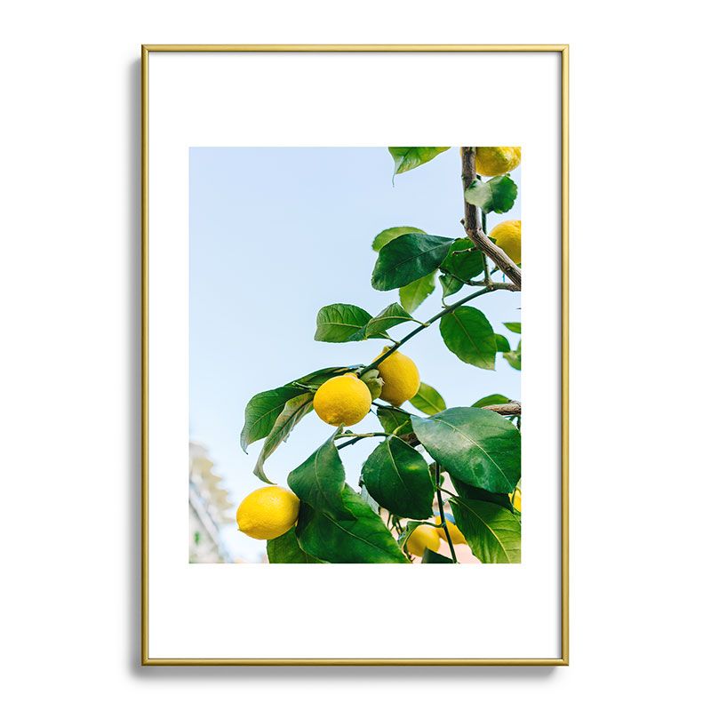 Bethany Young Photography Amalfi Coast Lemons 13"x19" Gold Metal Framed Art Print - Deny Designs, 1 of 5