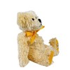 Boyds Bears 5.5 Inch Elliott Sadler Lil Racing Fuzzi Race Car #38 Bear Plush Figurines - 2 of 3