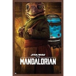 Trends International Star Wars: The Mandalorian Season 2 - Frog Lady Framed Wall Poster Prints - 1 of 4