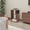 MAYEERTY Console Table in Melamine with Open Storage Wengue 1pcs - 2 of 4