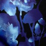 blue shadow floral