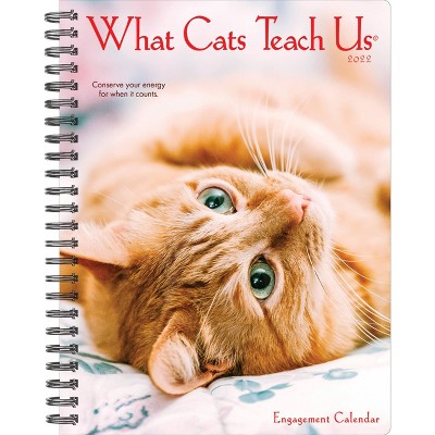 2022 Engagement Calendar What Cats Teach Us - Willow Creek Press