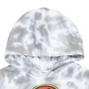 Jurassic Park Fleece Pullover Hoodie Logo Toddler to Big Kid - 4 of 4