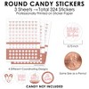 Big Dot of Happiness It's Twin Girls - Pink and Rose Gold Twins Baby Shower Small Round Candy Stickers - Party Favor Labels - 324 Count - 3 of 4
