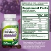 HealthA2Z - Elderberry Gummies with Vitamin C & Zinc - 60 Count - 2 of 4