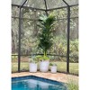 Nearly Natural 10-ft Triple Stalk Golden Cane Artificial Palm Tree - 4 of 4