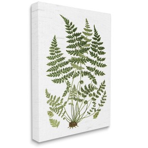 Stupell Industries Forest Botanicals Charming White Willow Greenery - 1 of 4