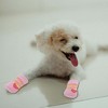Unique Bargains  Dogs Cats Socks Non-Slip Indoor Paw Protection 4 Pcs - 4 of 4