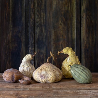 Park Hill Collection Moonlight Gourds