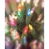 Celebrations Incandescent Mini Multicolored 300 ct String Christmas Lights 62 ft. - 3 of 3