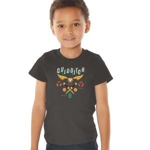 Toddler Boys' Harry Potter Quidditch Equipment Logo T-Shirt - 1 of 4