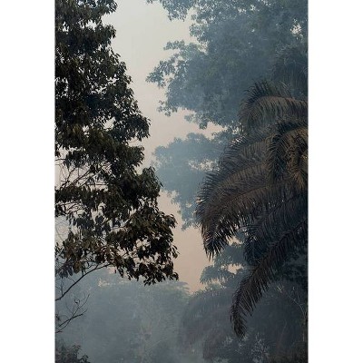 Yana Wernicke & Jonas Feige: Zenker - (Hardcover)