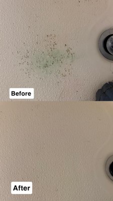 Guest review image 2 of 2, zoom in