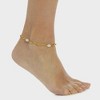 Pompeii3 Aviv Anklet 18k Gold Plated 10" 8mm Paperclip and Freshwater Pearl - 4 of 4