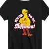Boys' - Sesame Street - Its Ok To Be Different Short Sleeve Graphic T-Shirt - 2 of 4
