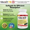 Glucocil 15-Day Supply 60CT – Premium Blood Sugar Support – 2+ Million Sold Since 2008 - 4 of 4