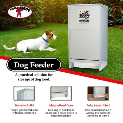 Silver Heavy Gauge Steel Automatic Dog Feeder for Small to Medium Breeds