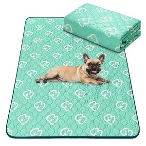 FXW Washable Pee Pads for Dogs, Puppy Pads with Super Absorbent, 1 Pack - 1 of 4