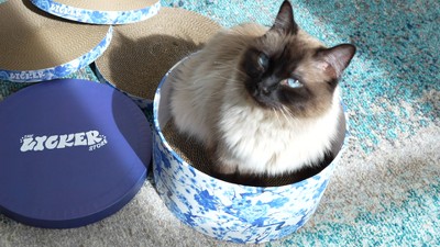 THE LICKER STORE Kate 12" Modern Patterned Cardboard Reversible Cat Scratcher Pad in Box with Catnip, Multi-Colored (5-Pack)