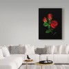 Trademark Fine Art -Susan S. Barmon 'Red Roses' Canvas Art - 3 of 3