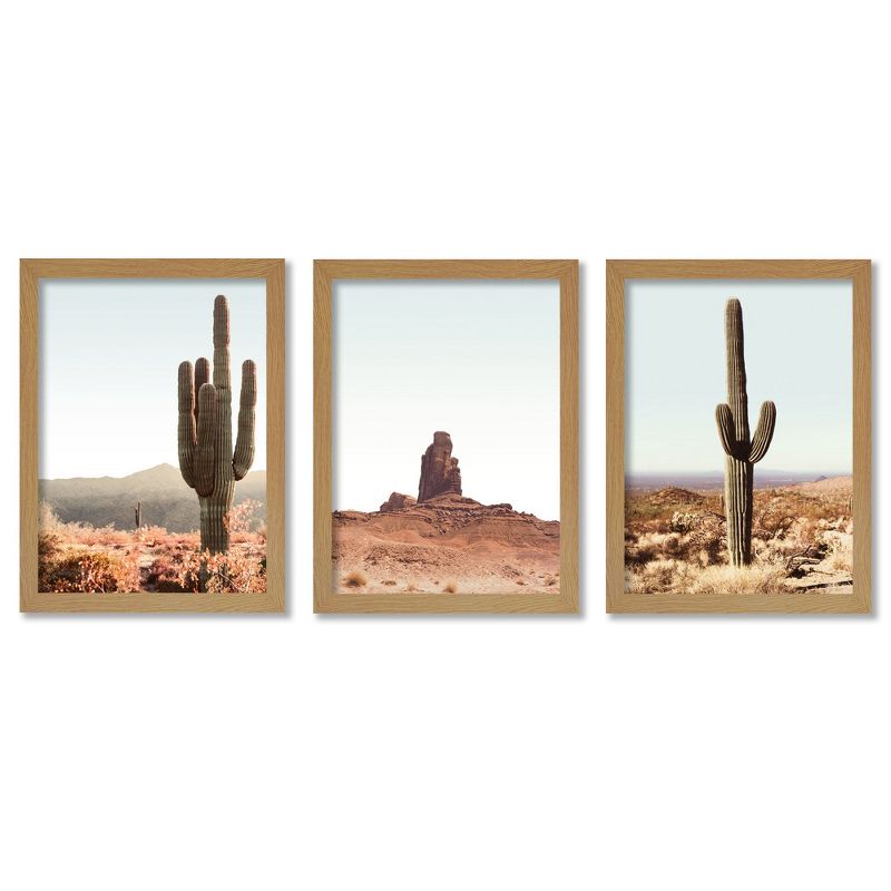 Americanflat Botanical Landscape Desert Cactus By Tanya Shumkina - 3 Piece Gallery Framed Print Art Set, 1 of 4