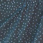 tropical garden border