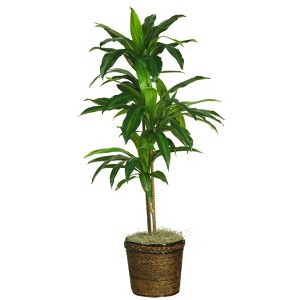 Nearly Natural 48-in Dracaena with Basket Silk Plant (Real Touch) - 1 of 1