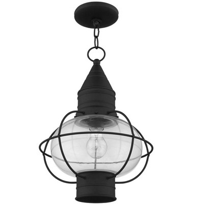 Black Nautical Outdoor Pendant Light with Clear Glass Globe