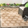Beach House BHS181 Power Loomed Indoor/Outdoor Rugs - Safavieh - 2 of 4