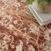 Nourison Petra Floral Traditional Indoor Rug - 3 of 4