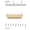 Super Nutrition Vein Support with Diosmin, Butcher's Broom, Horse Chestnut, Bioflavonoids and Enzymes, 90 Veggie Capsules - 3 of 4