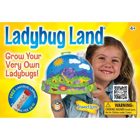 Ladybug Land Kit 