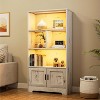 Industrial Bookshelves and Bookcases with Doors Floor Standing 3 Shelf Display Storage Shelves Tall Bookcase with LED Lights for Home Office - 2 of 4