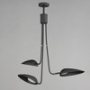 ET2 Lighting Marsh 3 - Light Pendant in  Black - 2 of 3