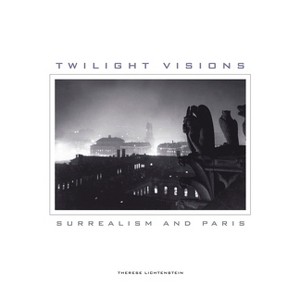 Twilight Visions - by  Therese Lichtenstein (Paperback) - 1 of 1