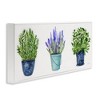 Stupell Industries Varied Potted Plants & Herbs Framed Giclee Art - 2 of 4