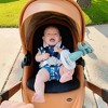 Hotmom Stylish Baby Stroller: Height-Adjustable Seat and Reclining Baby Carriage - 4 of 4