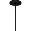 Quoizel Lighting Seigler 4 - Light Pendant in  Matte Black - 3 of 4