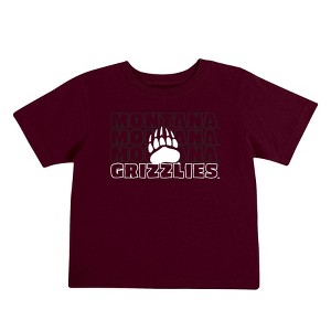 NCAA Montana Grizzlies Toddler Boys' 2pk T-Shirt - 1 of 4