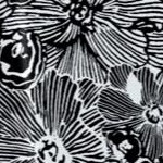 black white flower