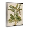 Stupell Industries Vintage Tropical Plant, 21" x 17" - 3 of 4