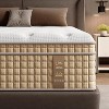 Whisen 14" Queen Hybrid Mattress, Motion Isolation Mattress, Memory Foam Mattress, Pocket Innerspring - 3 of 4
